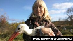Орнитолог Марина Сиденко открыла в Гдовском районе "Дом белого аиста", центр помощи диким птицам
