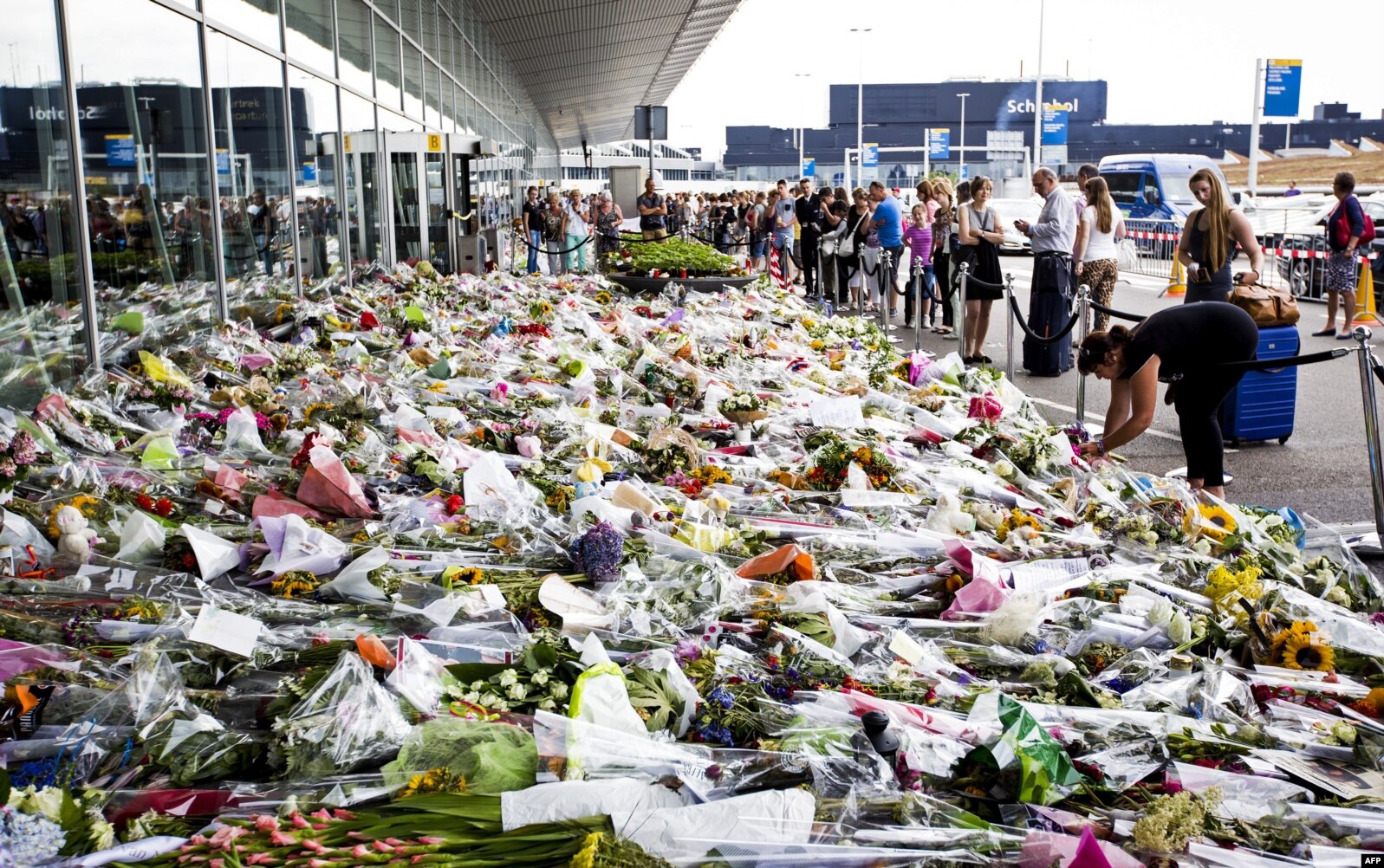 امستەردامنىڭ Schiphol اۋەجايىندا تراگەديا قۇرباندارىن ەسكە الۋشىلار اكەلگەن گۇل شوقتارى. قازا تاپقان 298 ادامنىڭ 200-ءى نيدەرلاندتىقتار ەدى.