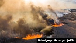 Пажар у чарнобыльскай зоне, 10 красавіка 2020 году