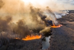 This picture taken on April 10 shows a field fire burning in a 30-kilometer Chernobyl exclusion zone, not far from the nuclear power plant.