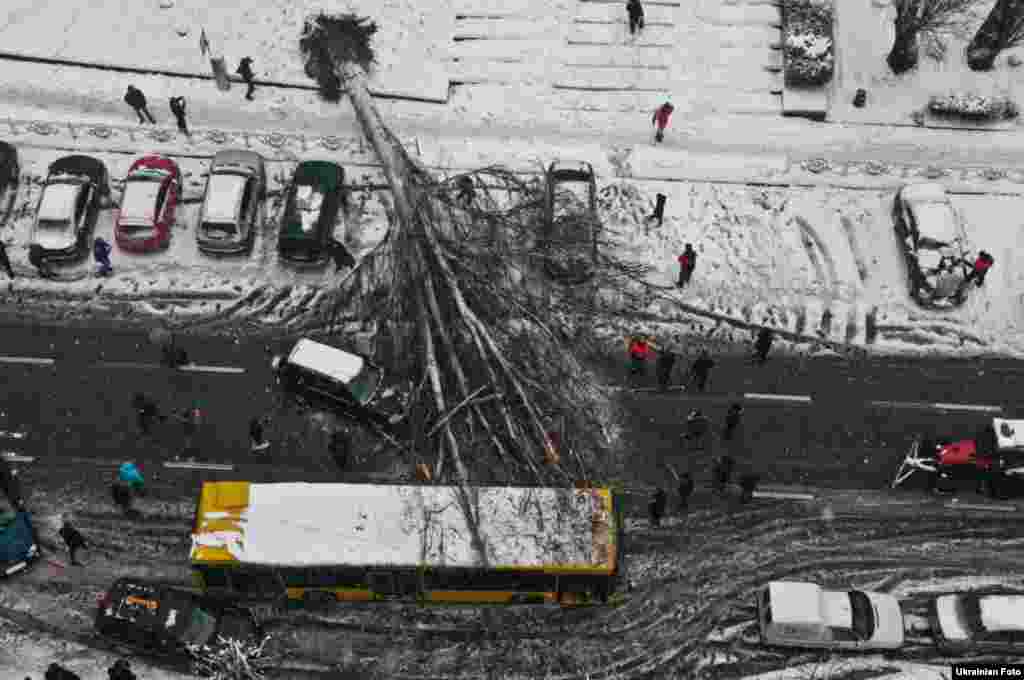 Passersby inspect a huge tree that fell on a bus and parked cars near the Palats Sportu subway station in the Ukrainian capital, Kyiv. (Ukrainian Foto)