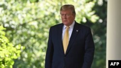 دونالد ترامپ در باغ گل سرخ کاخ سفید در ژوئن امسال