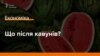 Баржа з кавунами наближається до причалу у Переяславі-Хмельницькому, де буде розвантажена. 4 серпня 2017 року