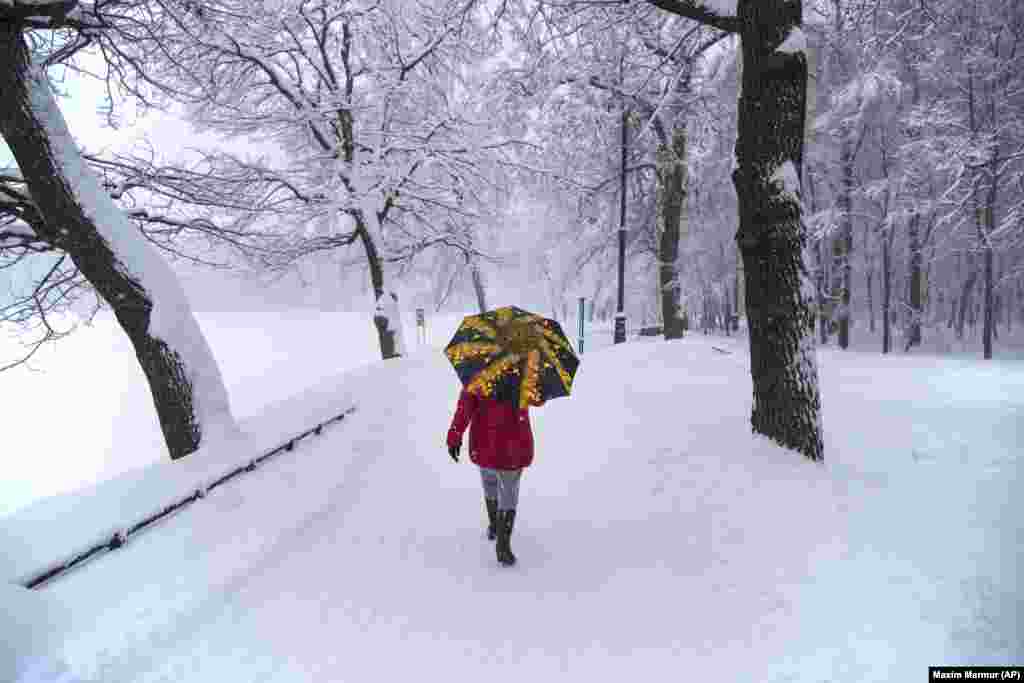 A woman walks through Moscow's Botanical Garden during heavy snowfall on February 4. (AFP/Maxim Marmur)