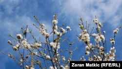 За даними метеорологів, середньомісячна температура повітря у березні склала 6,7 градуса, що вище кліматичної норми на 4,2 градуса. Фото ілюстративне 