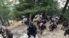 FILE: Afghan security forces and Afghan elders walk towards a checkpost in Parun, the capital of Nuristan Province in November 2016.