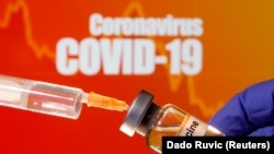 Ученые со всего мира пытаются создать вакцину от коронавируса. Архивное фото