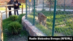 Зоолошка градина во Скопје