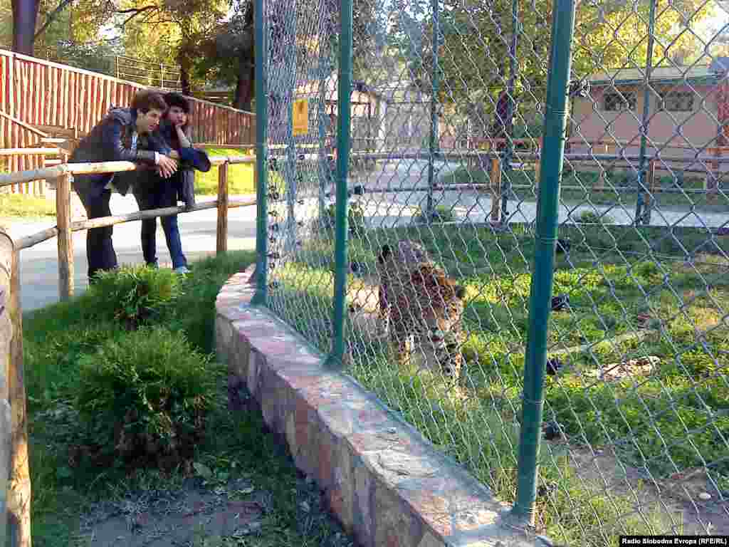 Децата не се единствени посетители на зоолошката градина во Скопје