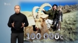 Screenshot for hunting restriction in Kyrgyzstan
