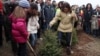 Кавга меѓу СДСМ и ВМРО-ДПМНЕ и за „Денот на дрвото“