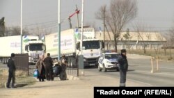 Ёрии башардӯстонаи Узбекистон ба Тоҷикистон аз гузаргоҳи марзӣ бо шаҳри Турсунзода ворид мешавад