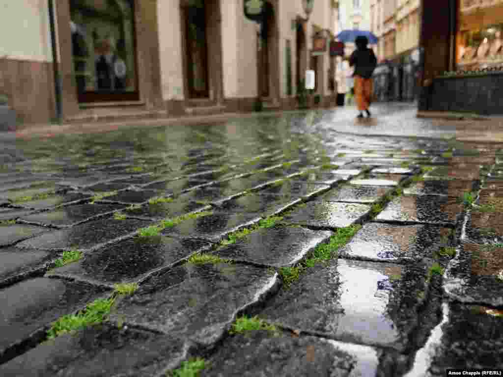 Сорняки растут сквозь мостовую на улице в самом сердце Старого города, которая обычно является одной из самых оживленных улиц Праги