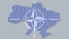 До НАТО Україну приведуть громадянське суспільство і молодь – експерти