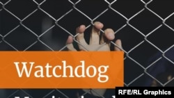 Watchdog logo