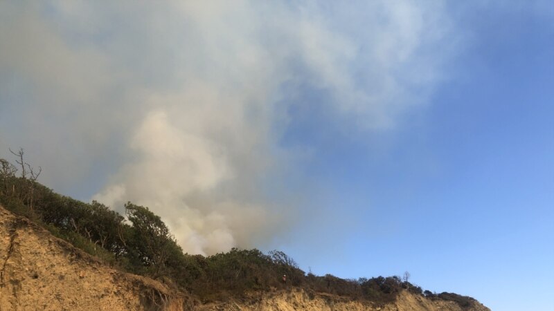 Экологи считают заниженным официально заявленный ущерб от пожара в заповеднике "Утриш"