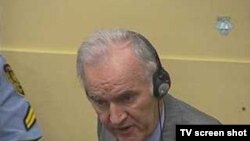 Ratko Mladic at the war crimes court in The Hague earlier this year.