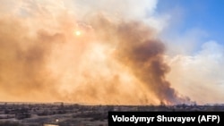 Лісова пожежа у Чорнобильській зоні відчуження, архівне фото 