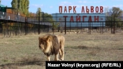 Парк левів «Тайган»