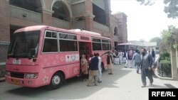 یو ګلابي بس پر تمځي ولاړ دی