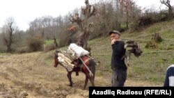 Astaranın Vaqo kəndi