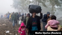 MIgrantët përpiqen të kalojnë nga Serbia në Kroaci
