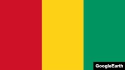 Дзяржаўны сьцяг Гвінеі