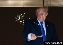 Дональд Трамп кормит японских карпов в пруду резиденции Синдзо Абэ перед началом переговоров. Токио, 6 ноября