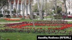 Heydər Əliyev adına sarayın qarşısındakı park