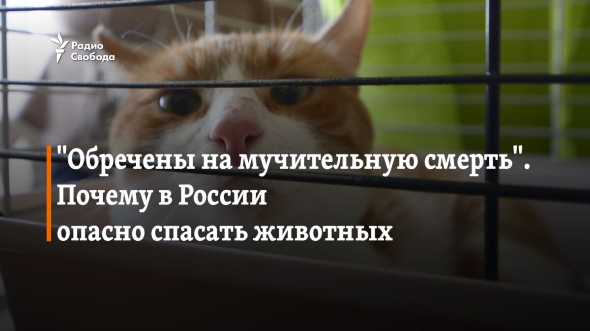 Обречены на мучительную смерть