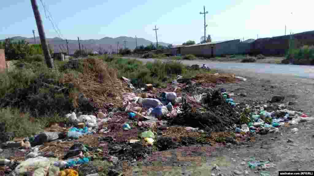 Plastik çüýşeler çaşyp ýatyr, polietilen paketler şemalda uçuşyp ýör, bu indi agzalýan ýerde adaty ýagdaý diýlip hasaplanýar.