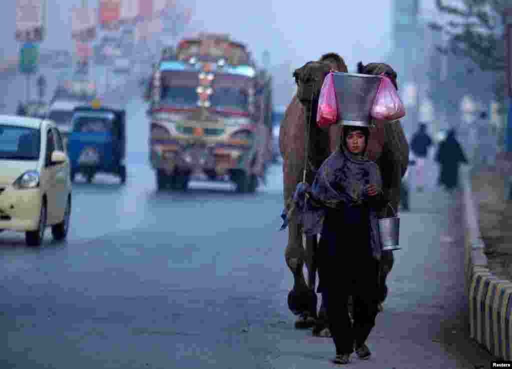 A girl leads her camels as she sells fresh camel's milk on the GT road in Peshawar, Pakistan. (Reuters/Fayaz Aziz)
