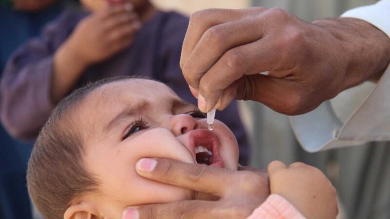 ۱۰میلیونه افغان ماشومانو ته د پولیو ضد واکسین تطبیقېږي