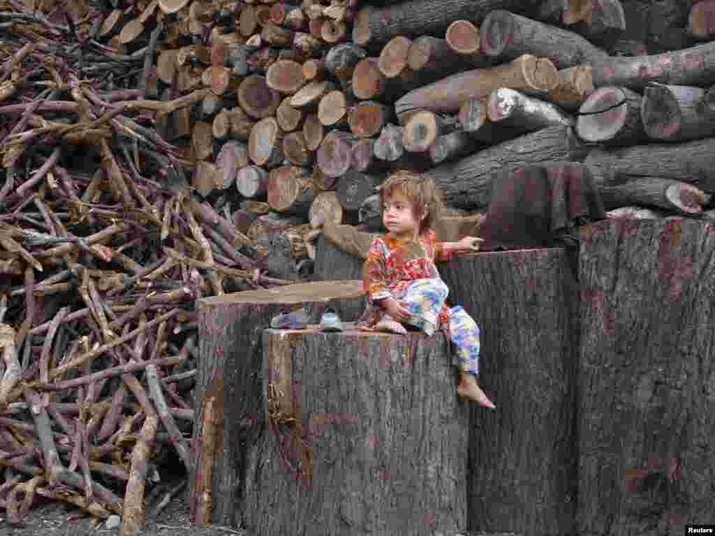 Pakistanda odun &uuml;zərində oturmuş 3 yaşlı qız. (Foto: Naseer Ahmed/Reuters)&nbsp;