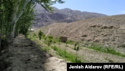 The two men were detained in Kyrgyzstan's southern Batken region. (file photo)