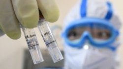 Kineski laborant, Hengjang, Kina, 19. februar