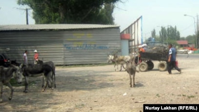 Брюнетка офистік порно шұлық