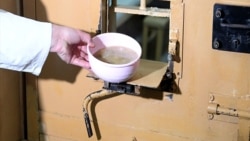 Турэмная ежа ў Беларусі. Ілюстрацыйнае архіўнае фота