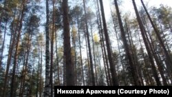 Фото предоставлены Николаем Аракчеевым