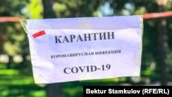Иллюстративное фото.