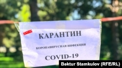 Иллюстративное фото 