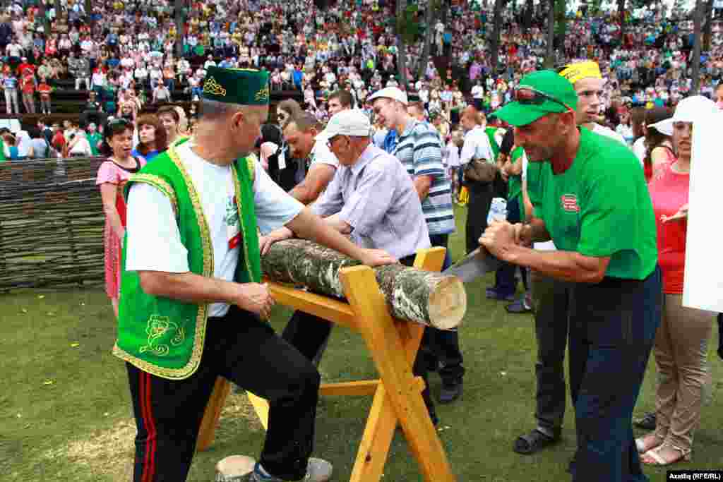 Кул пычкысы белән утын кисү ярышы