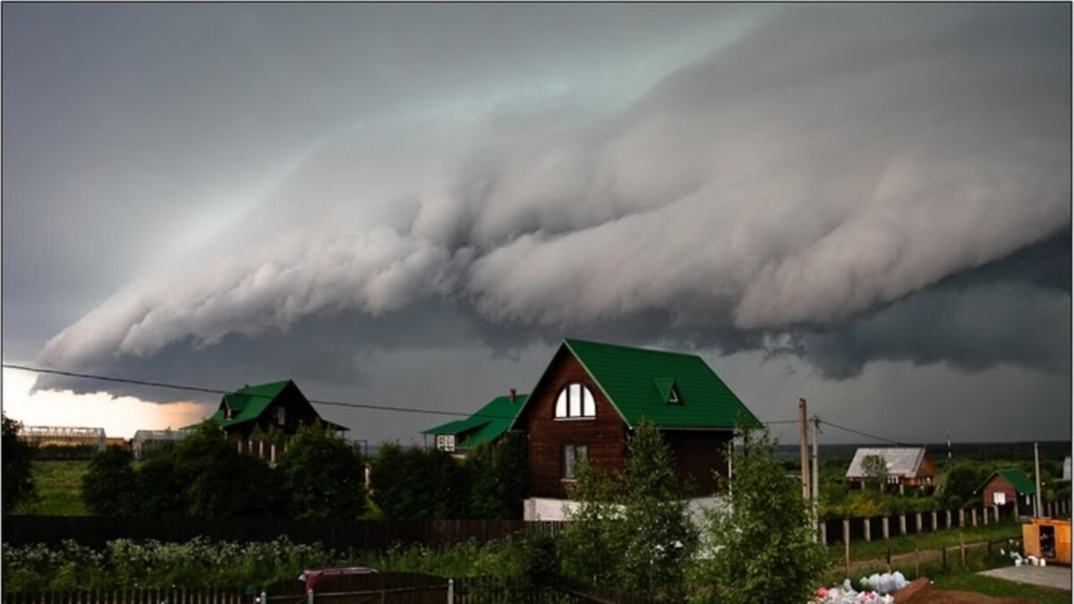 Гений места. Поселок художников в деревне Криушкино