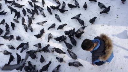 Nokia 2700 ларкин махаббатындағы порно