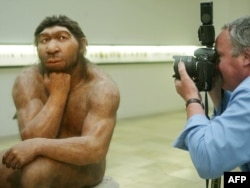 Реконструкция предположительного внешнего вида неандертальцев