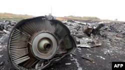 Остатоците од соборениот малезиски патнички авион