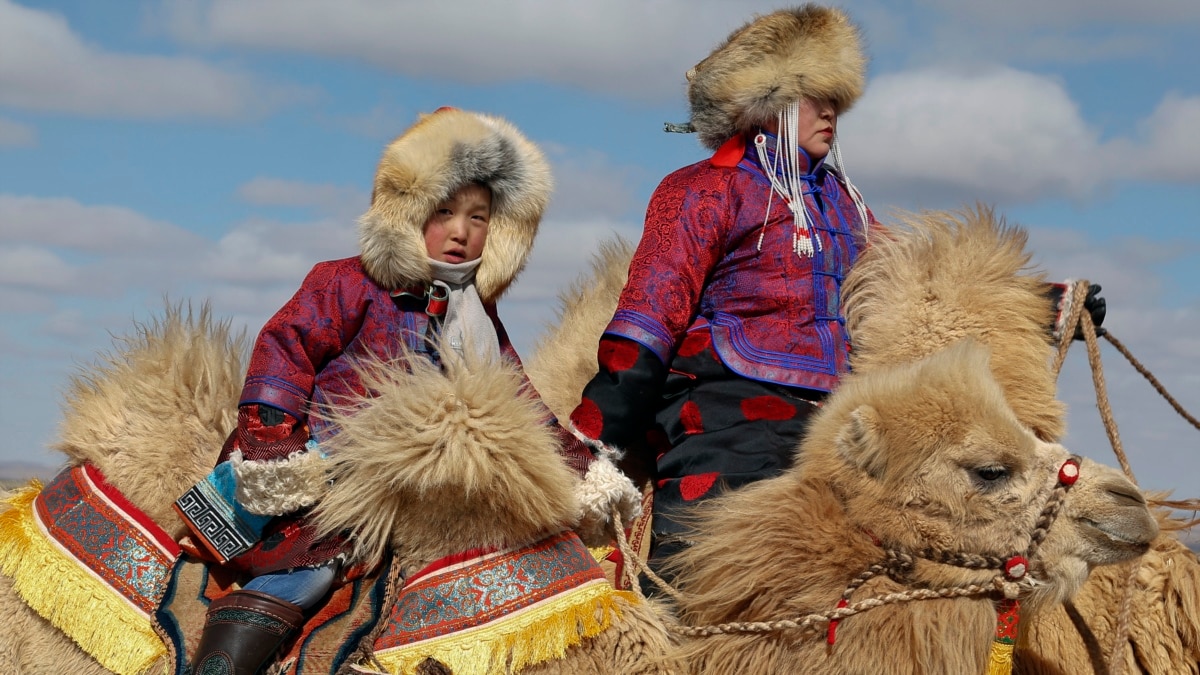 Верхом на беговом верблюде