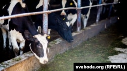 Ілюстрацыйнае фота