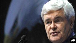 Former speaker of the U.S. House of Representatives and presidential hopeful Newt Gingrich