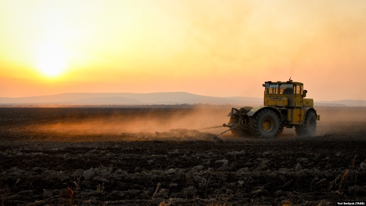 Russia’s Land Barons The Firms And Families Who Own Most Of Its Farmland